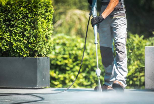 Best Solar Panel Cleaning  in Cordova, AL